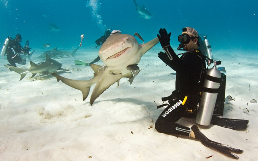 Best Things to Do in Fiji for Active Visitors