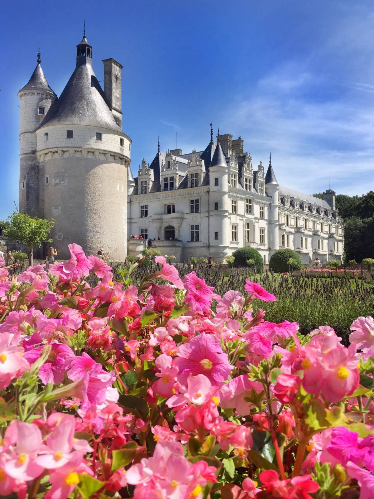 Loire Valley castles Chenonceau Castle