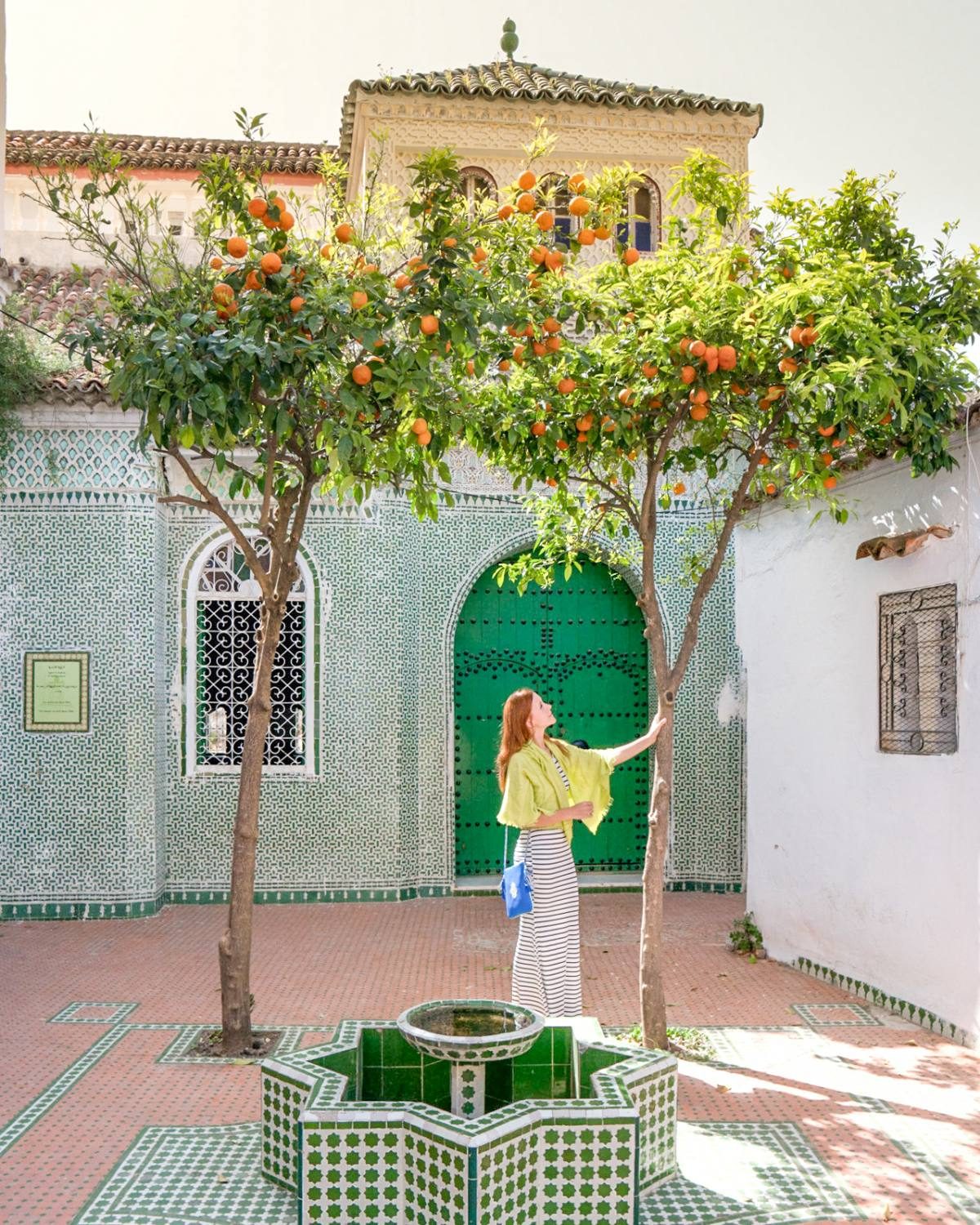 Chefchaouen green house Chefchaouen green house