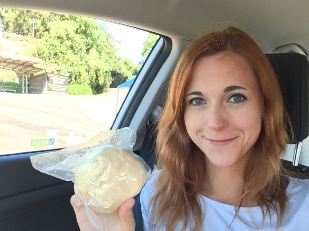 Palmito cheese sold on the road in Costa Rica