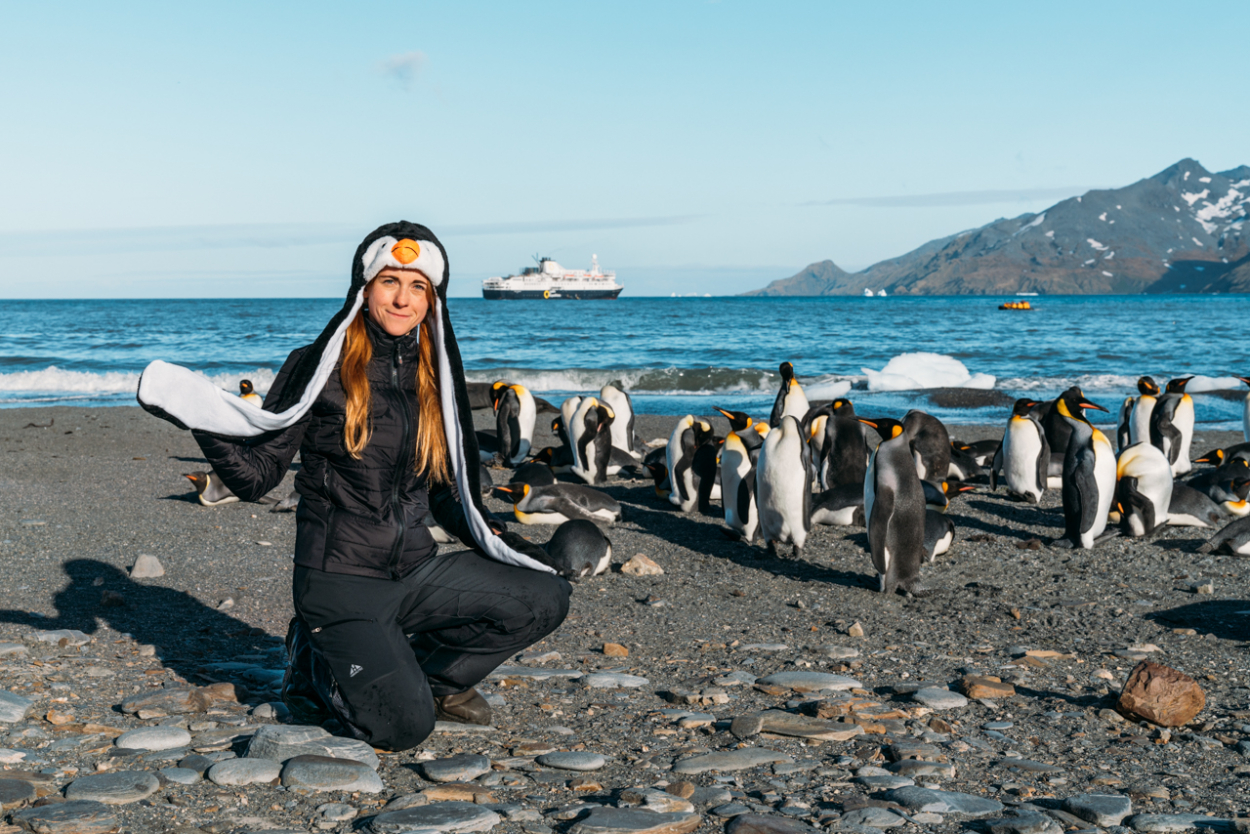 penguins south georgia penguins south georgia