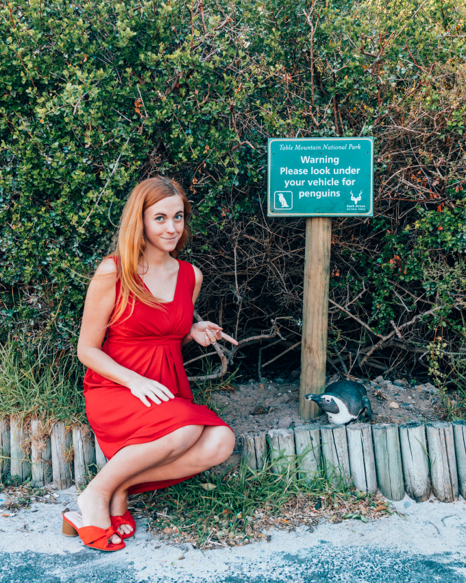 Woman posing by a penguin warning sign in Cape Town, highlighting the blend of urban and wildlife experiences available to tourists in the area
