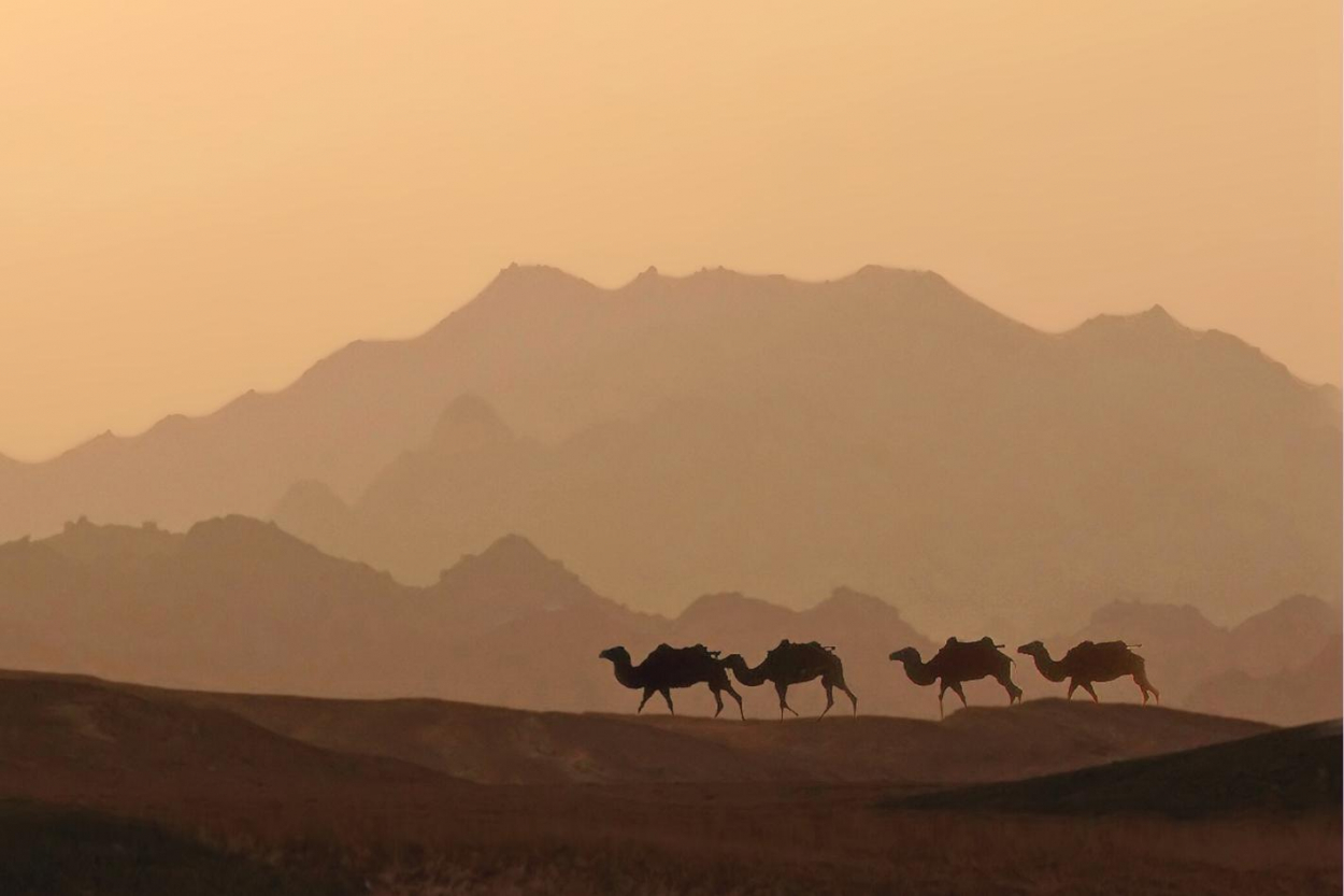 20 Largest Deserts in the World