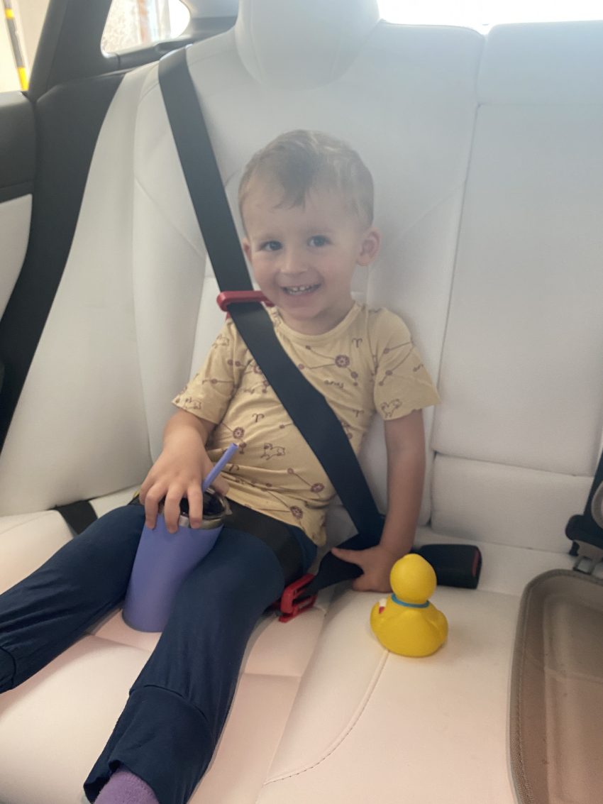 Toddler in a mifold booster seat
