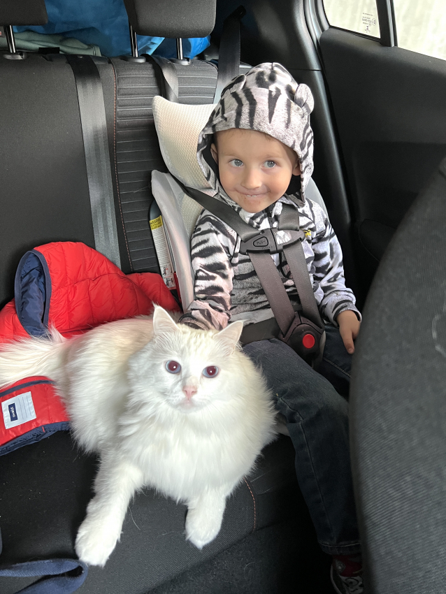 Toddler sitting in WayB Pico car seat with a cat