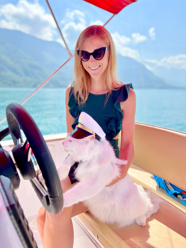Cat on a boat
