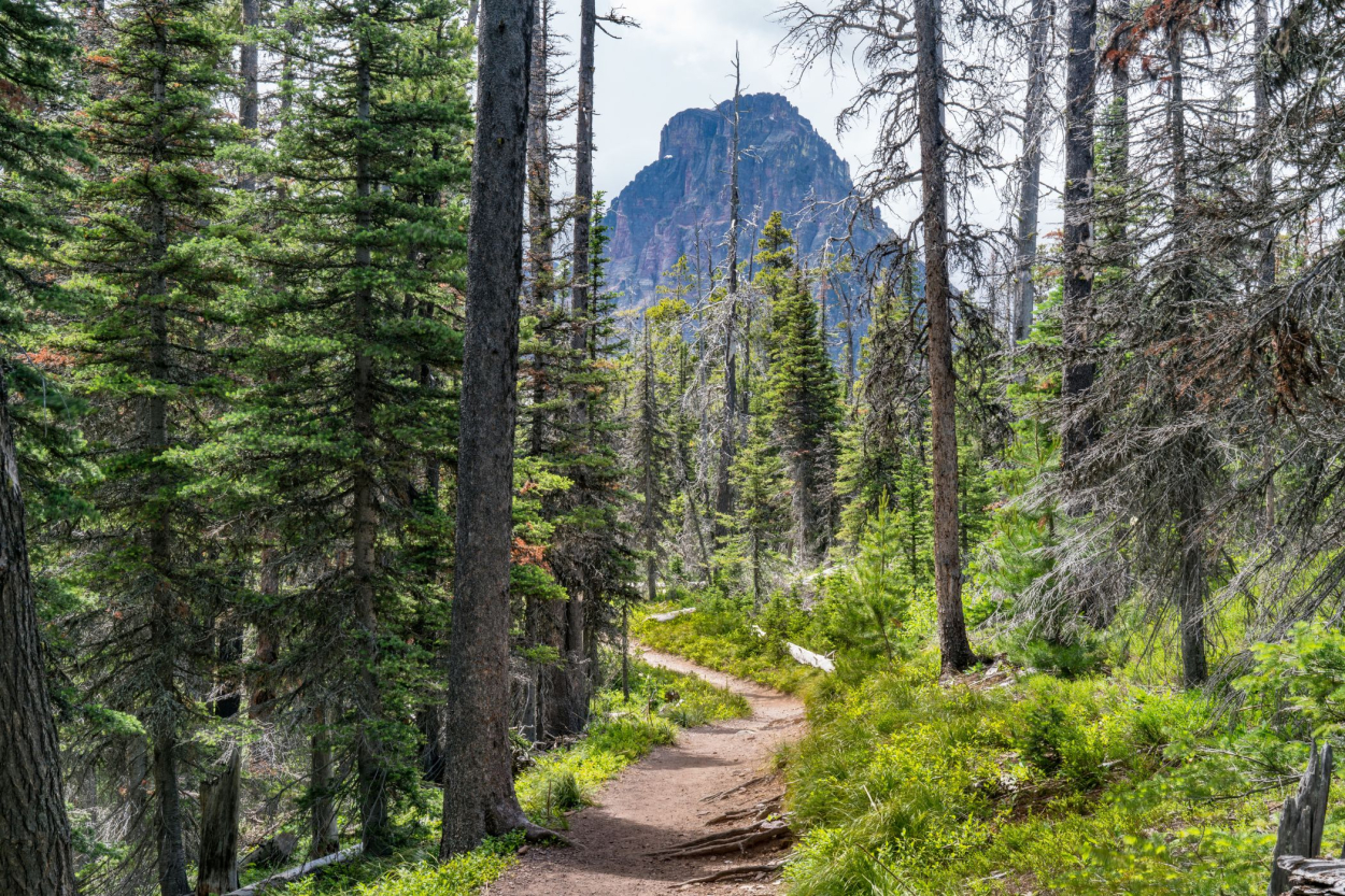 16 Greatest Hikes in Glacier National Park