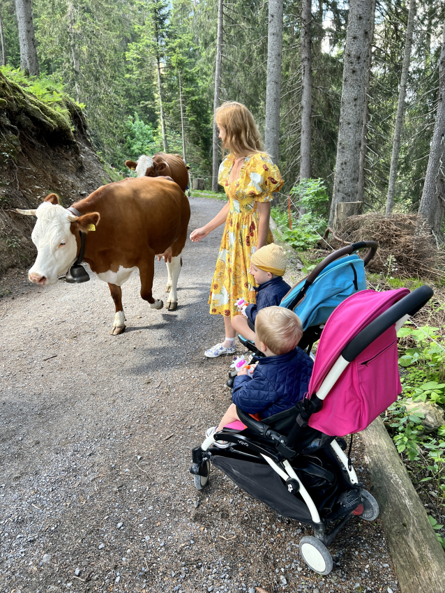 Kids and mother meeting a friendly cow on a forest path, an encounter that’s part of the charm of exploring Switzerland's natural beauty with children.