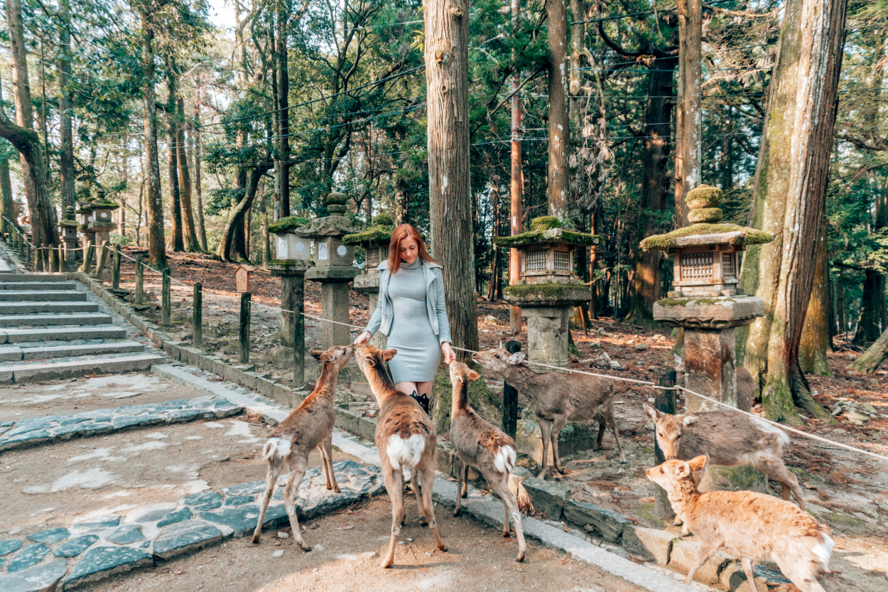 10 Things to Do in Nara, Japan