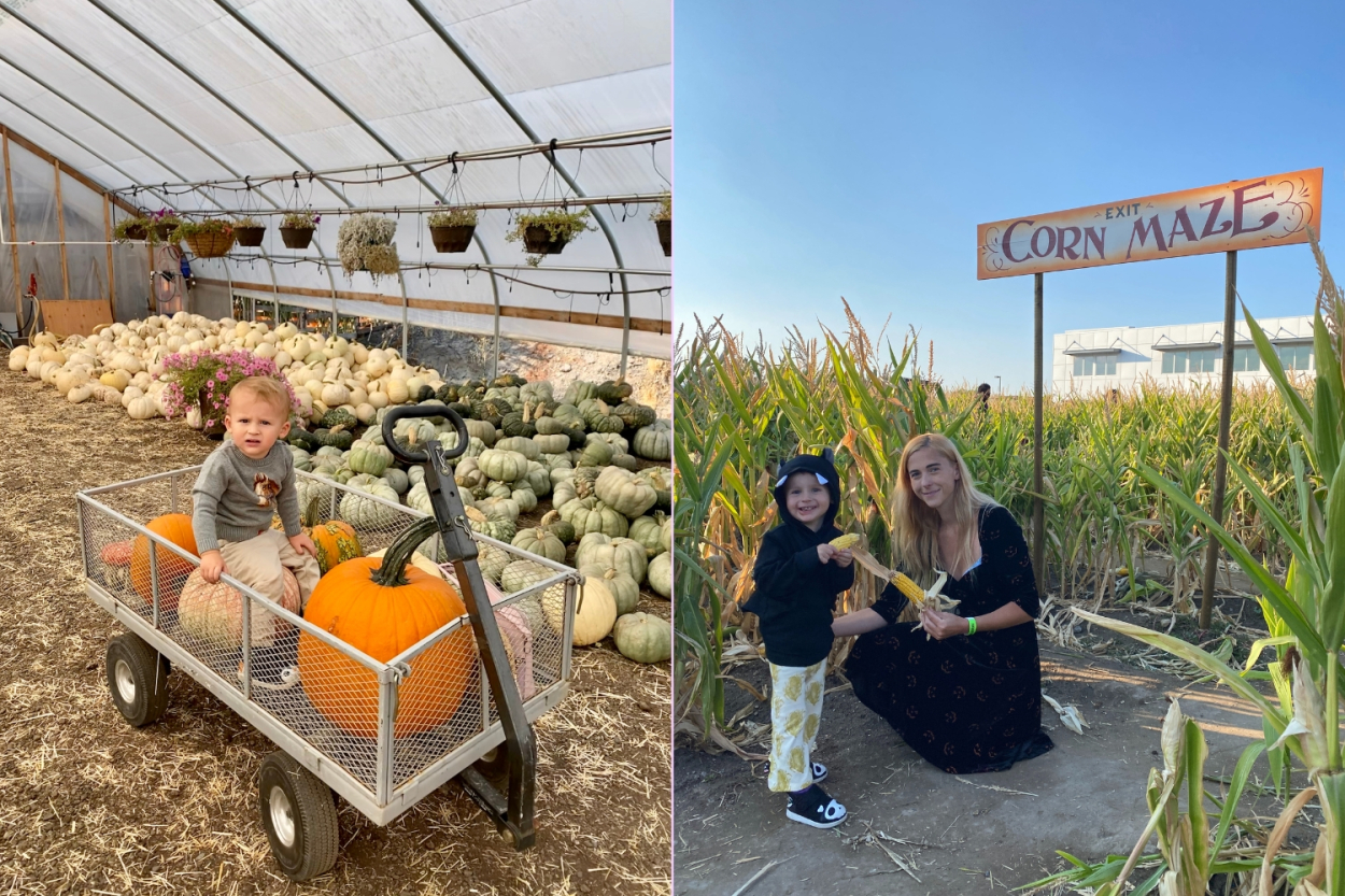 Best Pumpkin Patches in Salt Lake City