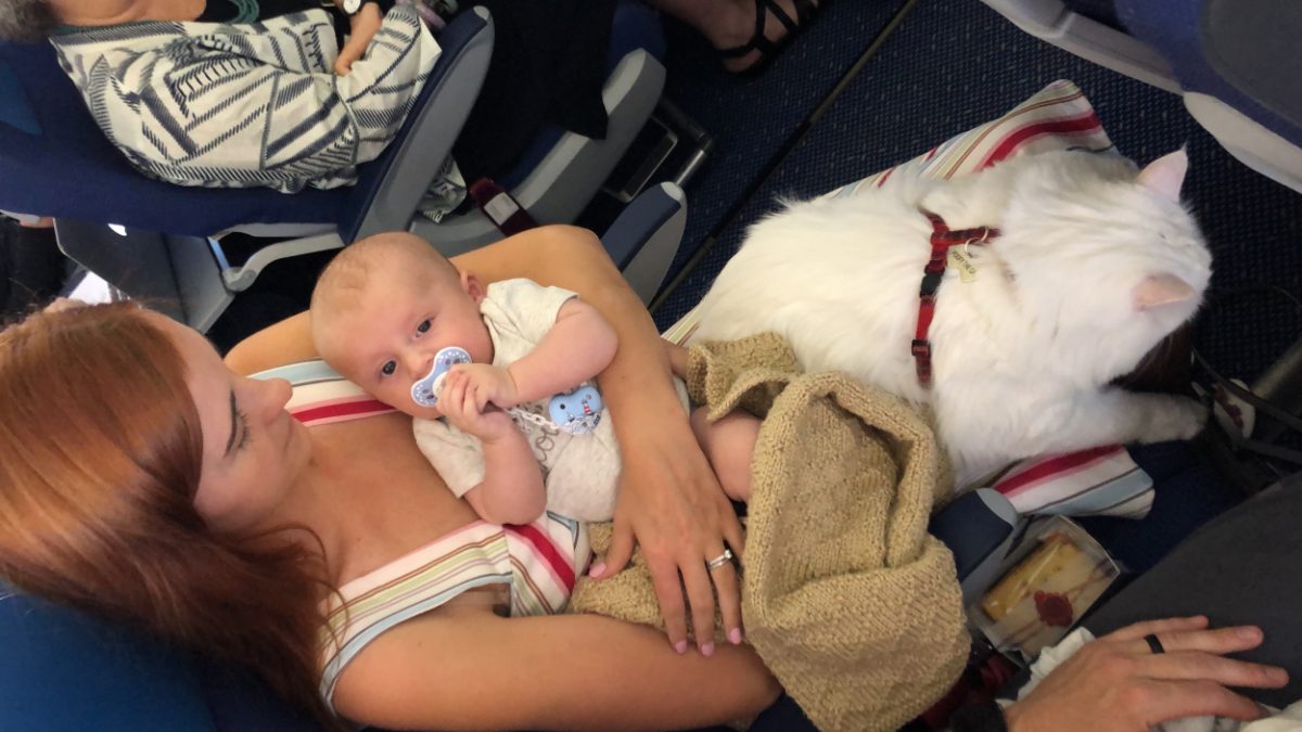 flying with baby on KLM