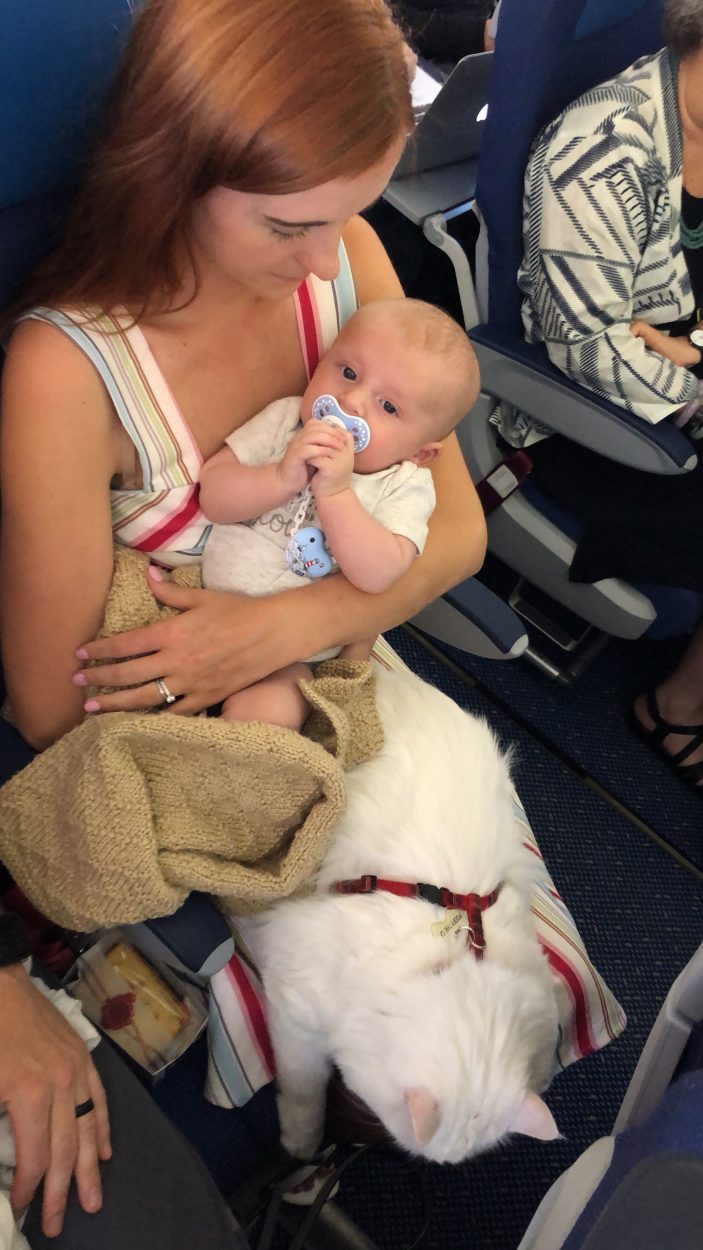 Flying with a Baby on KLM Royal Dutch Airlines