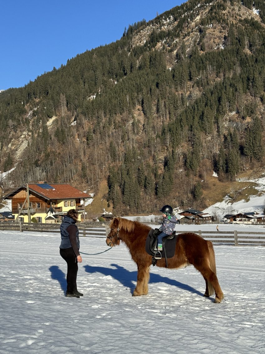 Toddler enjoying pony ride