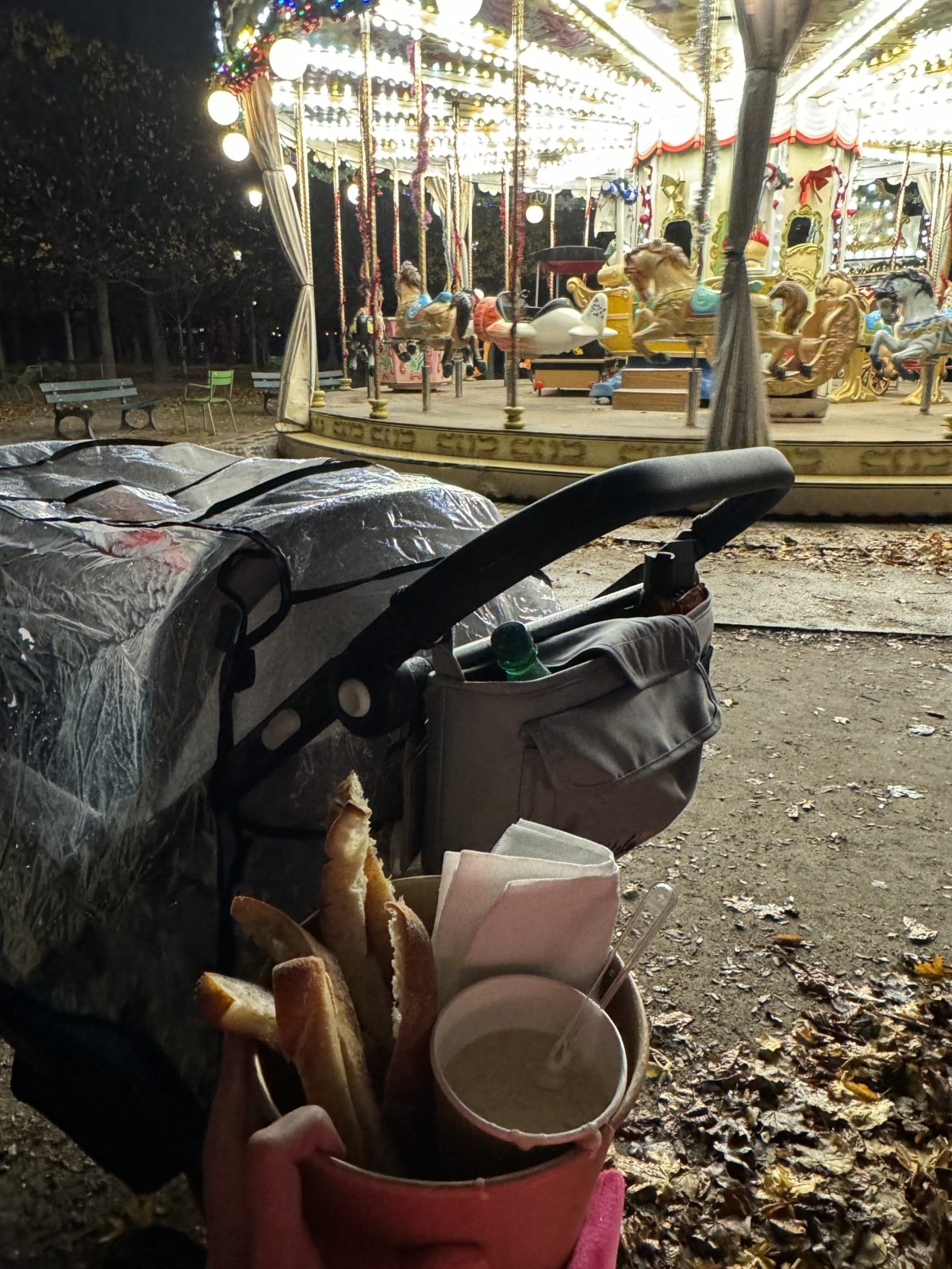 paris with double stroller