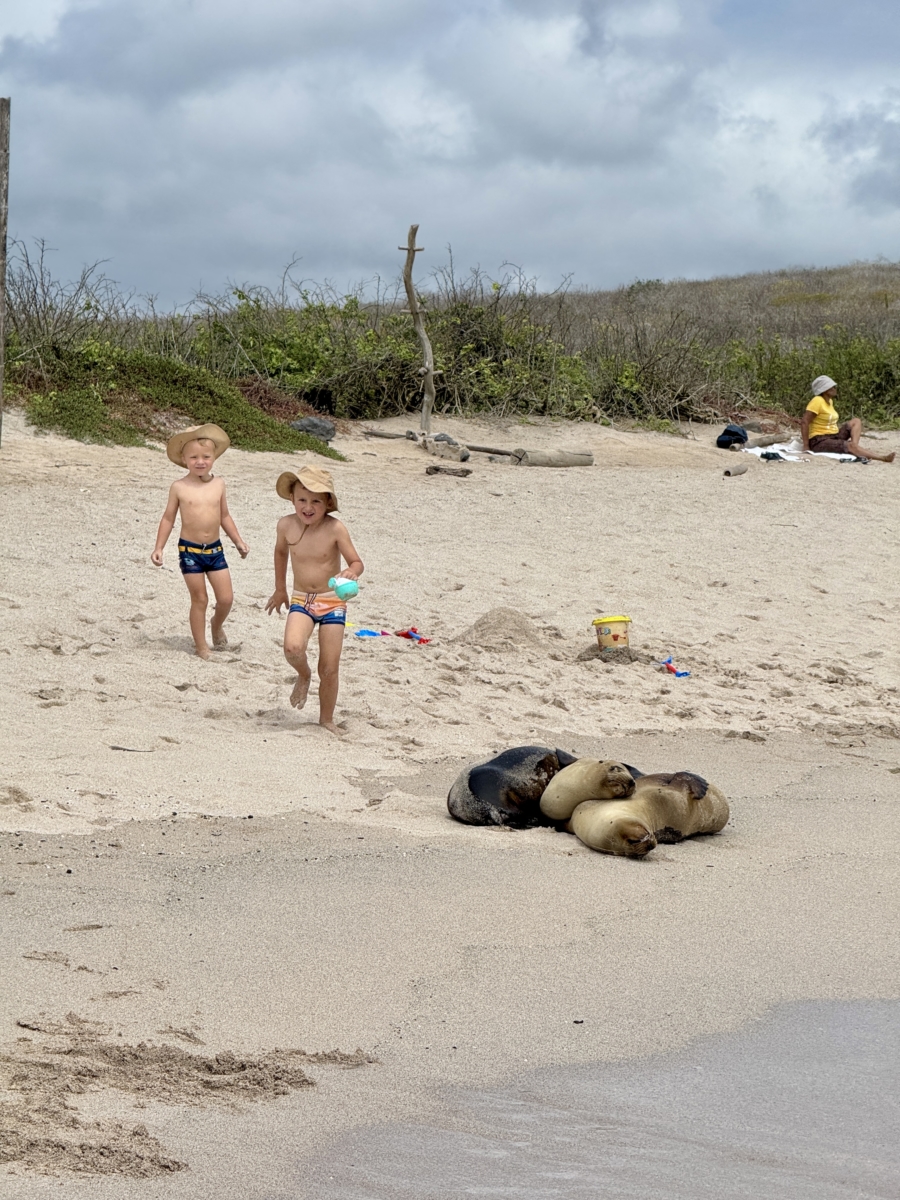 free activities in Galapagos
