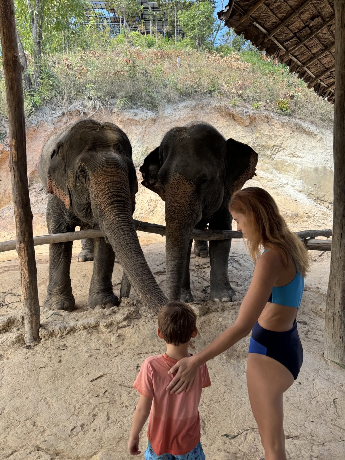 Ethical elephant sanctuary in Chiang Mai