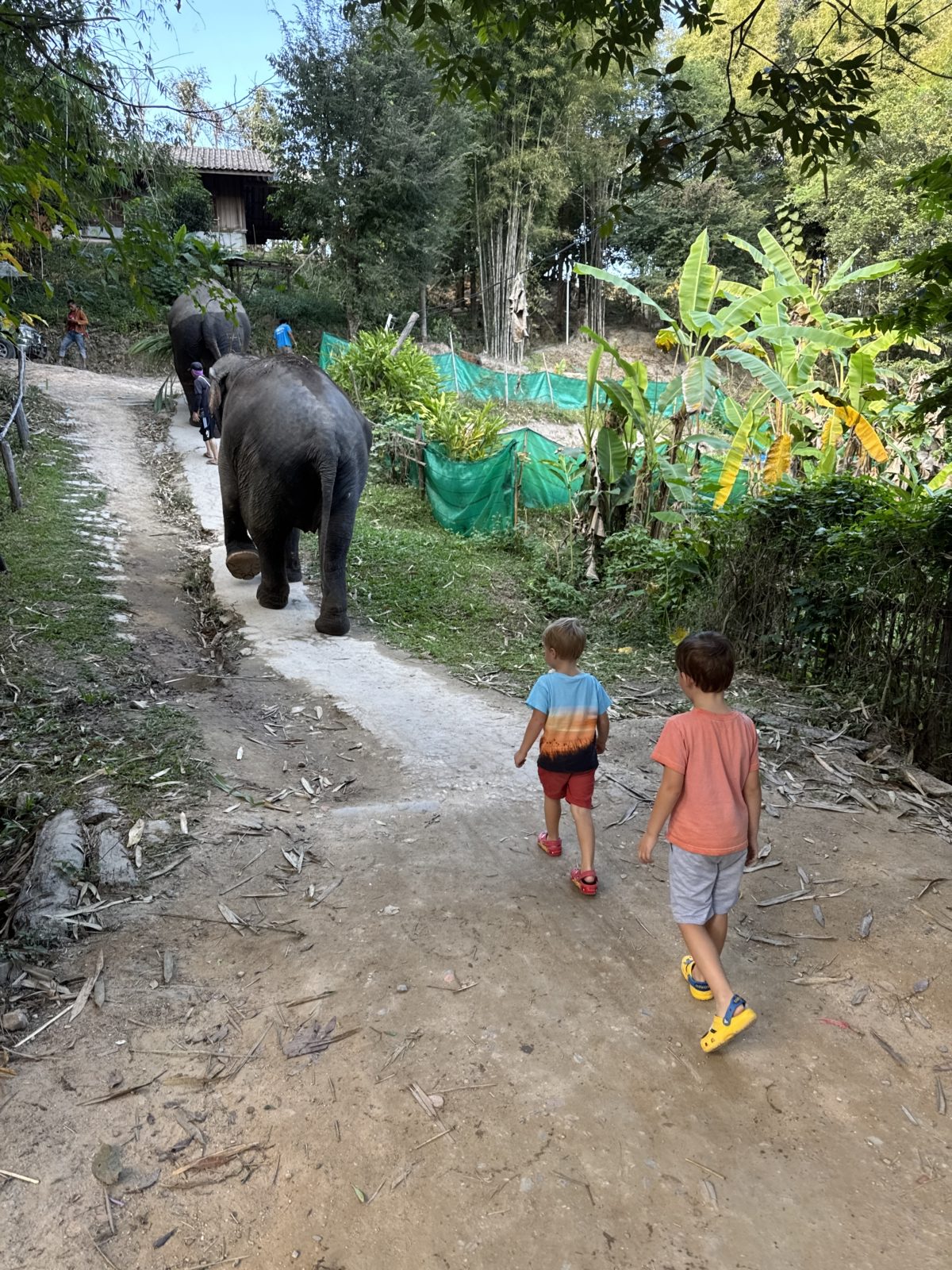 Kids walking behind an elephant